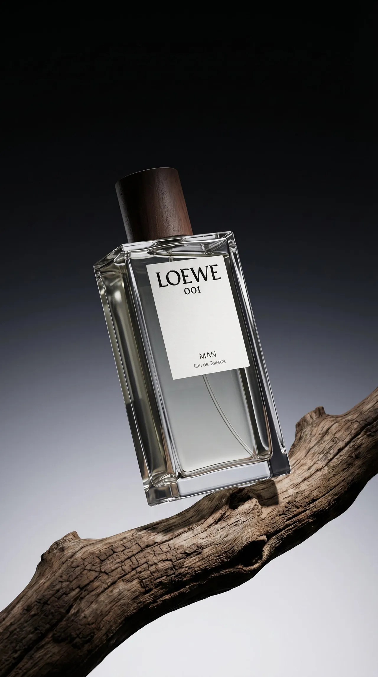 Loewe 001 Man bottle balanced on a weathered wooden branch