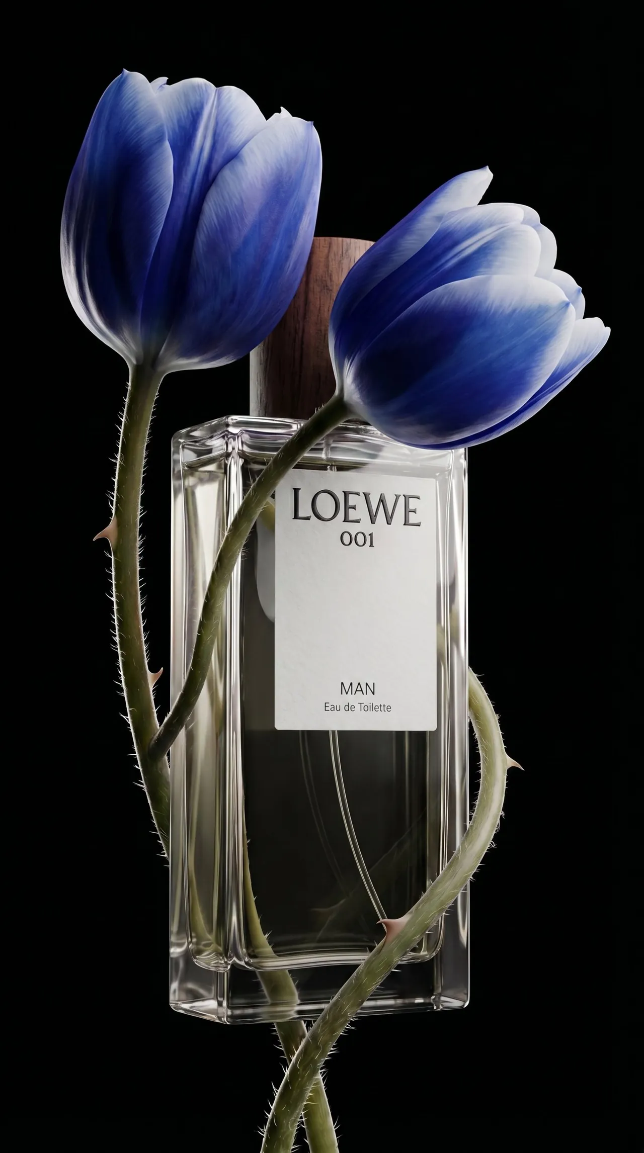 Loewe 001 Man bottle wrapped in two blue tulips with thorned stems, on black