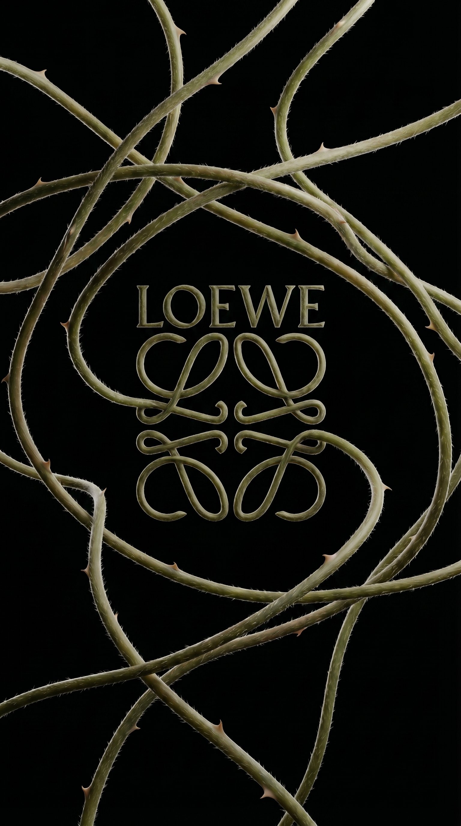 Loewe anagram carved into cracked white stone monolith